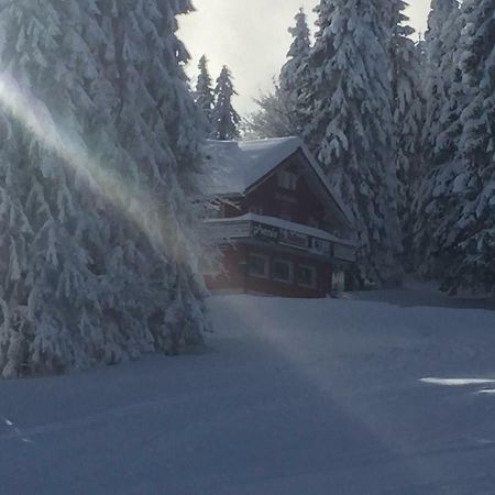 Hotel Auerhahn Feldberg  Zewnętrze zdjęcie