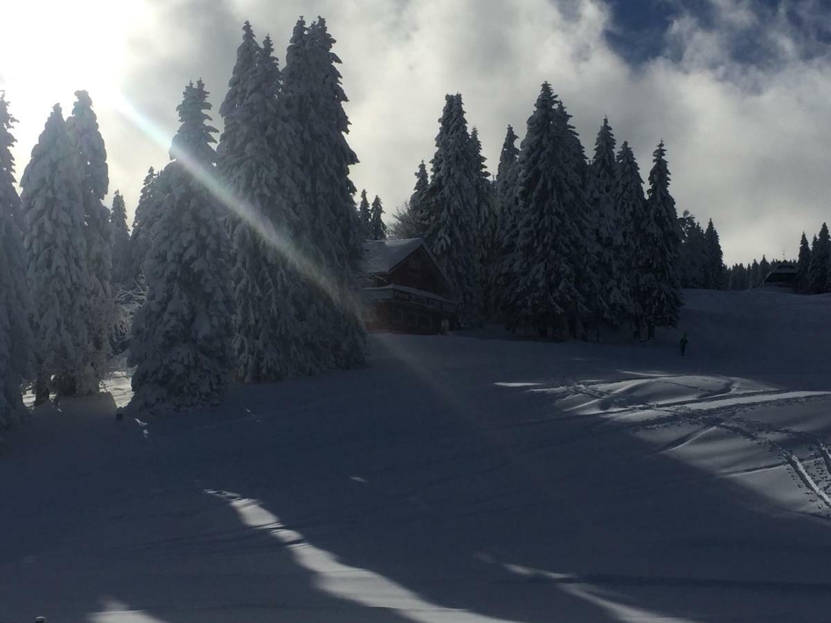 Hotel Auerhahn Feldberg  Zewnętrze zdjęcie