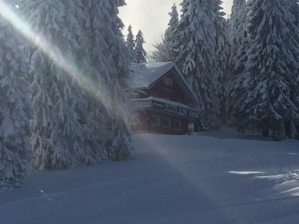 Hotel Auerhahn Feldberg  Zewnętrze zdjęcie